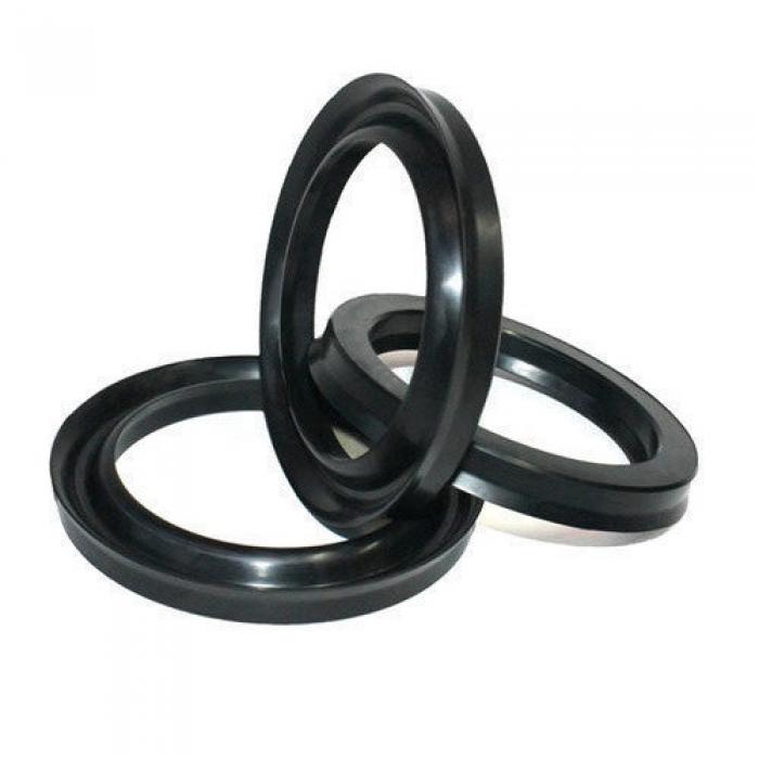 PTFE Oil Seals